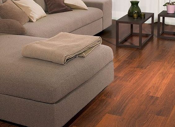 Features of Tigerwood