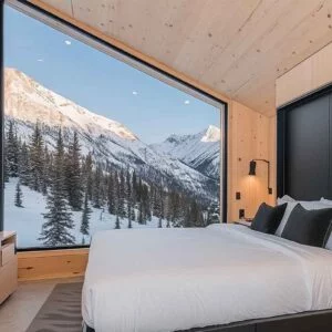 Fixed Skylight Window