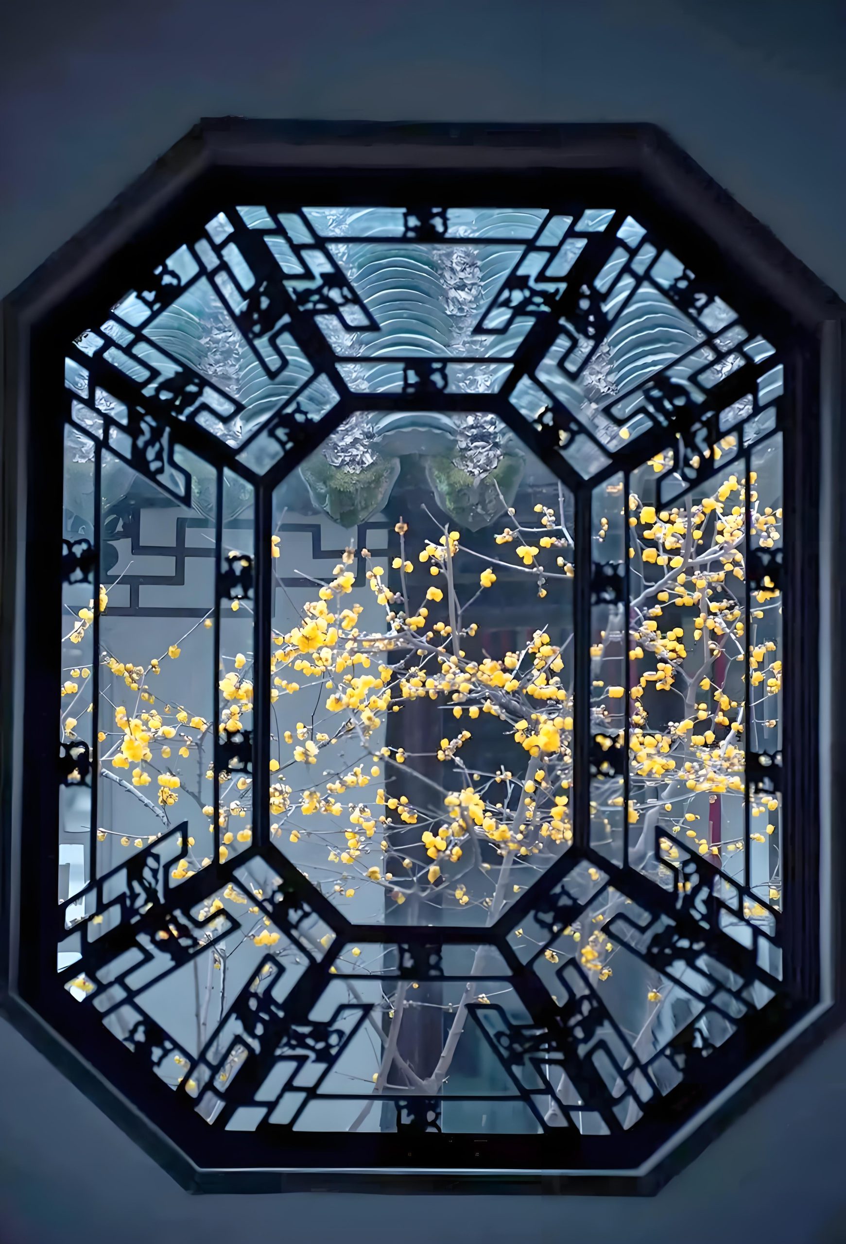 Garden Windows